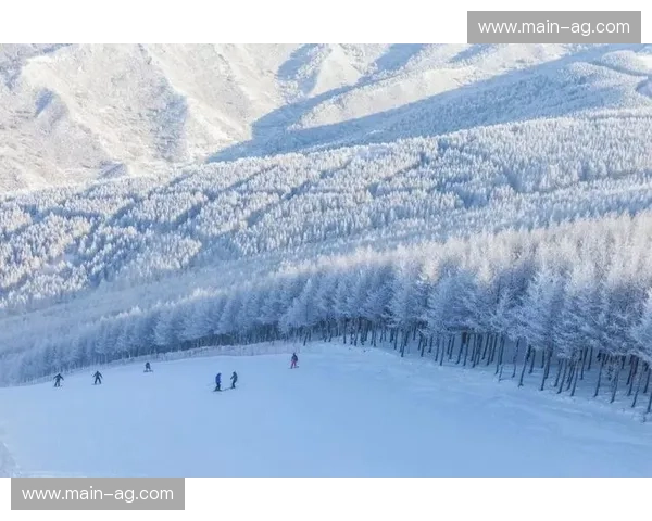 山形之巅的蓝色信仰：山形山神vs群雄，一场关于雪国斗志的深度解析